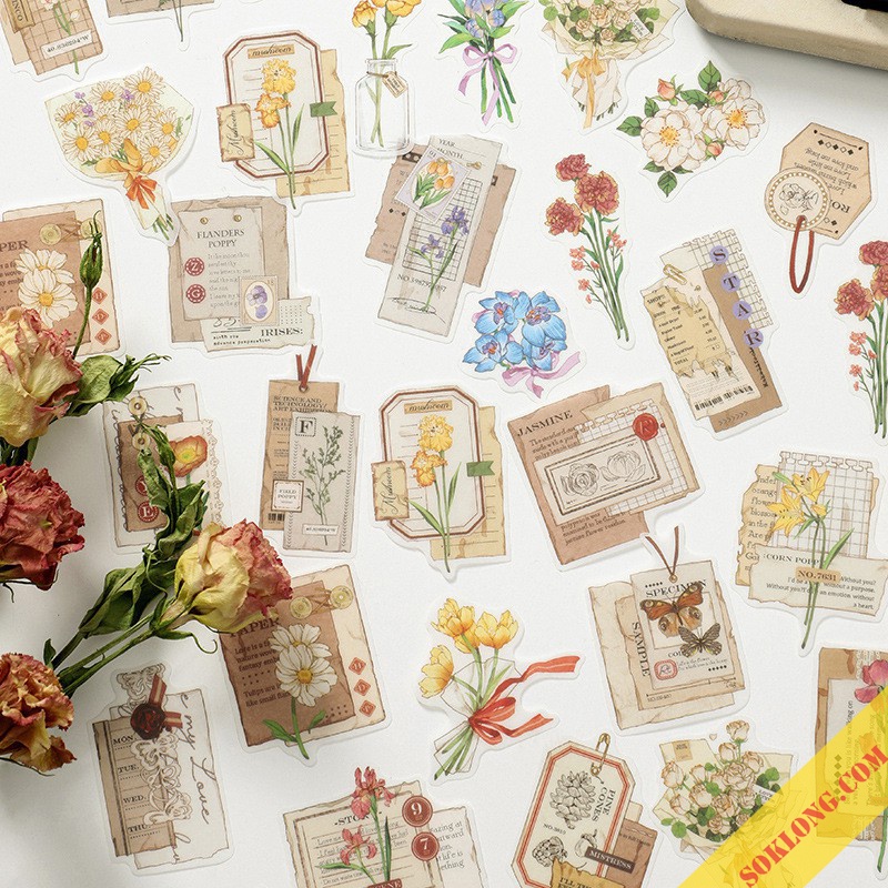 Sticker hoa và tranh/ thiệp vintage, sitcker hình tag list tùy ...